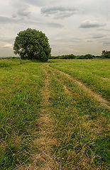 фото "Придорожная"