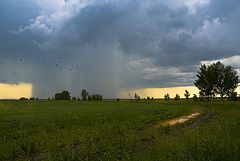 фото "Врассыпную"