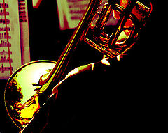 фото "T-Bone"
