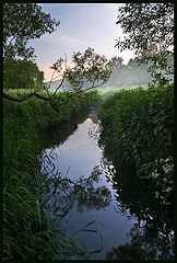 photo "Upwards on a stream by a dawn..."