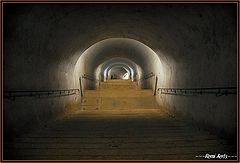 photo "deep down"