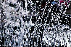 photo "drops"