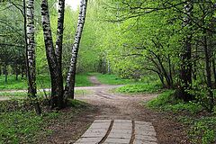 фото "На пороге"