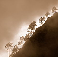 photo "Mother nature"
