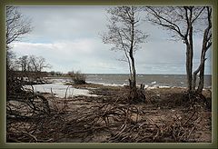photo "Island Kotlin"