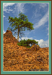 photo "***"