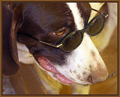 фото "Hot and Sunny Again!"