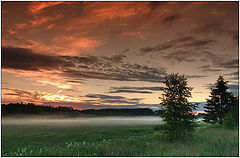 photo "Approach fog"