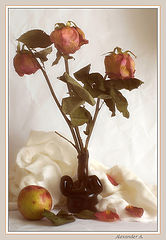 photo "The Fading"