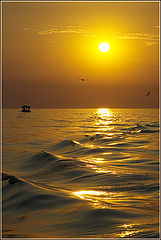 photo "***"