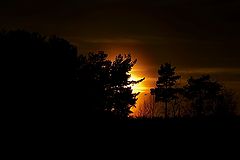 photo "***"