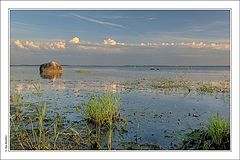photo "Chudskoe. Silence..."