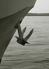 photo "***"