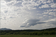 фото "Редкий вид"