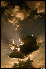 фото "* * *"