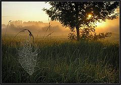 photo "***"