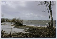 photo "Hard spring on island Kotlin"