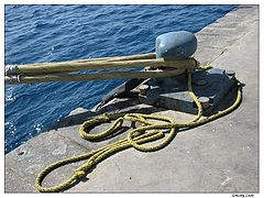 photo "Knots"
