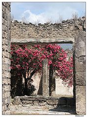photo "Colours of Pompei"