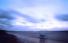 photo "***"