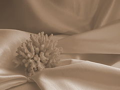 photo "***"