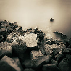 фото "***"