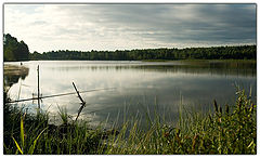 фото "Ранняя"