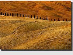фото "Lines"