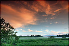 photo "Water meadows"