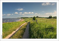 photo "Chudskoe. Ways..."