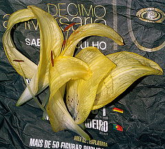 фото "Do you remember me?"