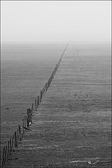 photo "Black and White"