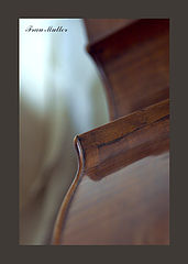 photo "***"