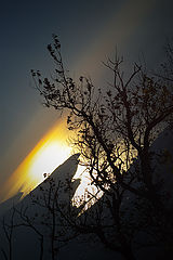photo "***"