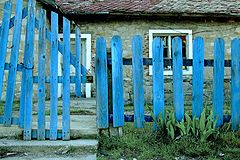 фото "Blue fence"