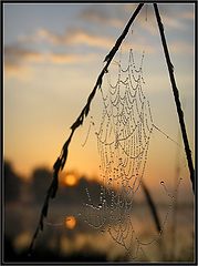 photo "***"