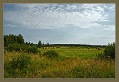 photo "***"