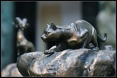 photo "Cat"