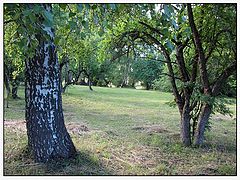 фото "В барском саду"