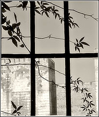 фото "Foretime"