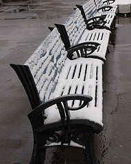 фото "waiting at cold"