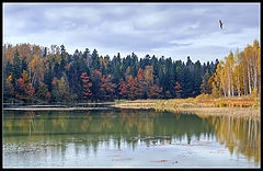 photo "Autumn"