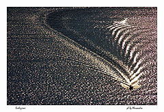 фото "Evoluzion"