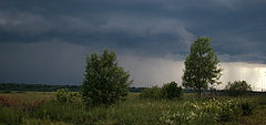 фото "Перед дождем."