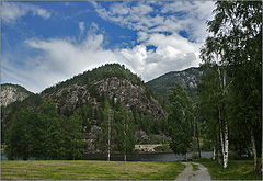 фото "Norwegian landscape of birches"