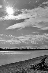 photo "Sunny"