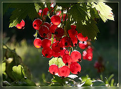 photo "***"