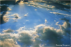 photo "***"