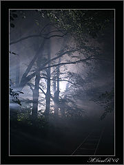 photo "***"