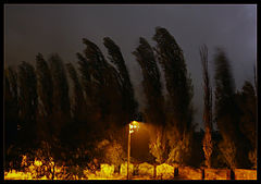 фото "Ночной ветер"